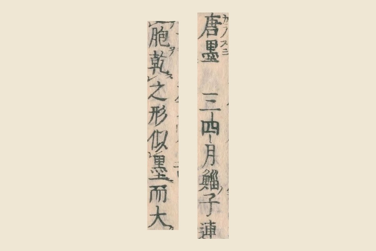 『和漢三才図会』コマ31の「唐墨（カラスミ）三四月鯔子連胞乾之形似墨而大」を大きく切り出したもの
