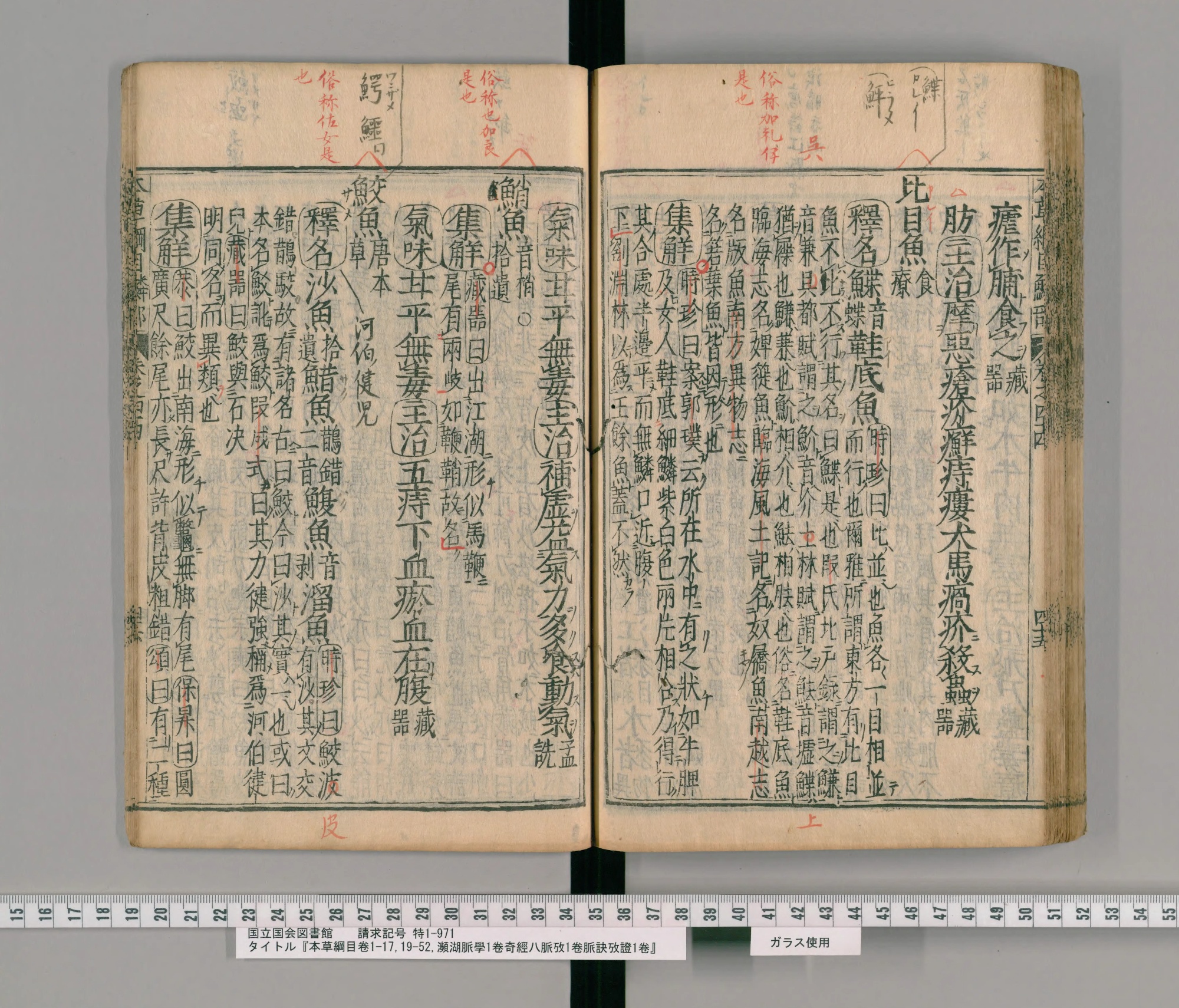 『本草綱目』承応2年刊本 巻四十四コマ93の見開き。右ページに見出し「比目魚」、上の余白に朱の書き入れ