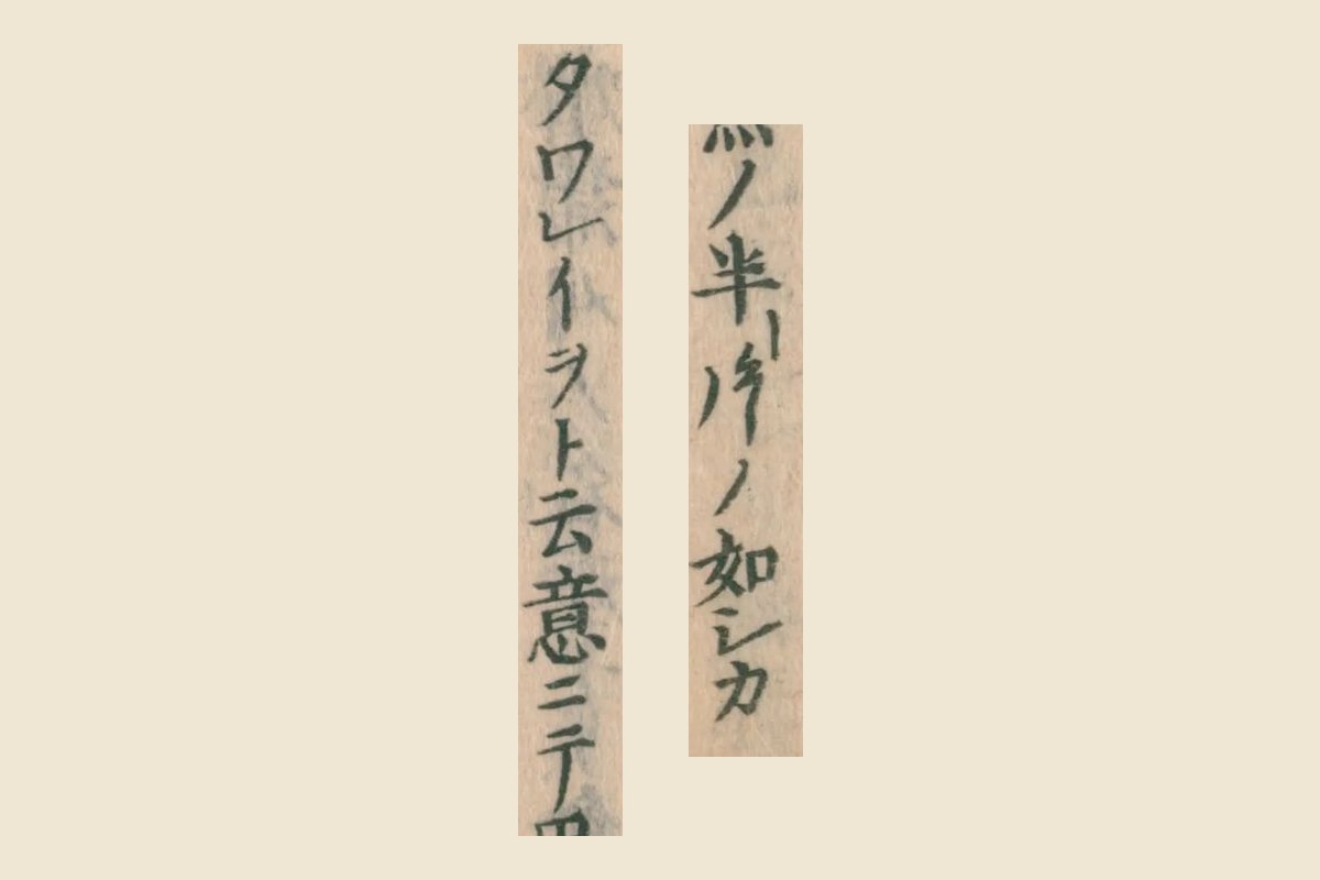 『大和本草』の「（魚）ノ半片ノ如シカ」と「タワレイヲト云意ニテ」の大写し