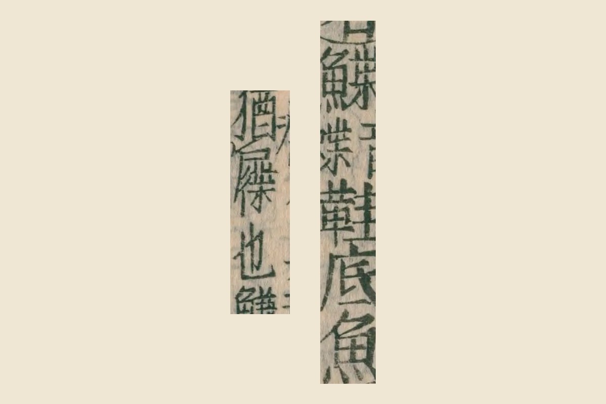 『本草綱目』コマ93の釈名「鰈（音蝶）鞋底魚」と「猶屧也」の大写し