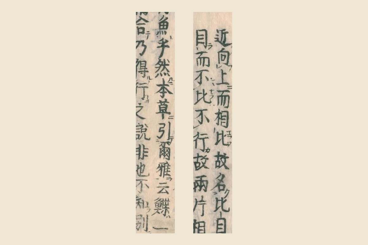 『和漢三才図会』コマ23の「近向上而相比故名比目」「目而不比不行故兩片相」と「魚乎然本草引爾雅云鰈一」「合乃得行之說非也不知別」の大写し