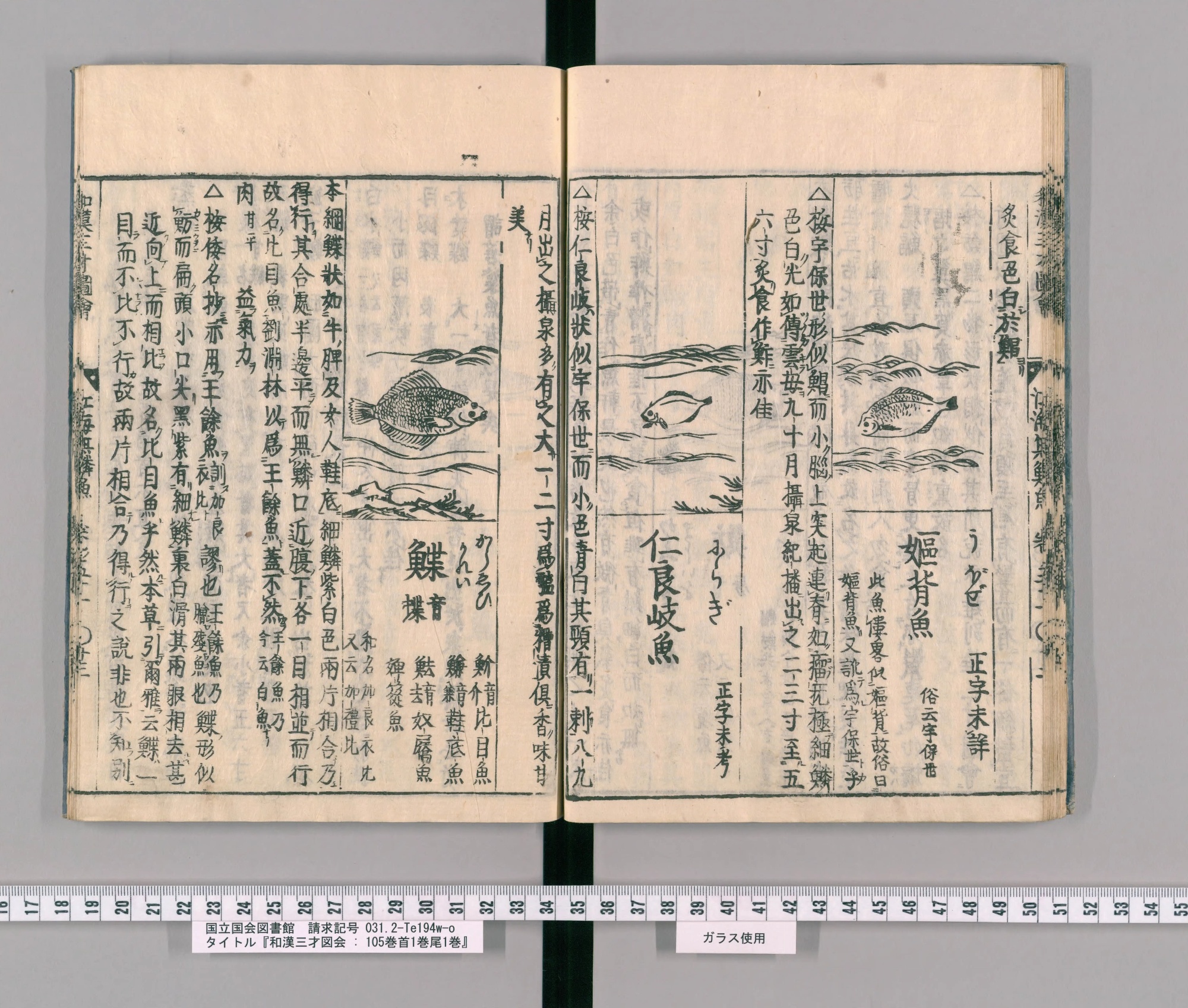 『和漢三才図会』巻五十一コマ23の見開き。左ページ上にカレイの絵、その下に見出し「鰈」