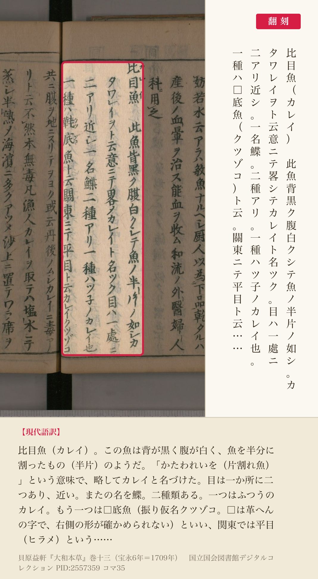 『大和本草』巻十三コマ35の「比目魚 此魚背黒ク腹白クシテ魚ノ半片ノ如シ カタワレイヲト云意ニテ畧シテカレイト名ツク」の4列と翻刻