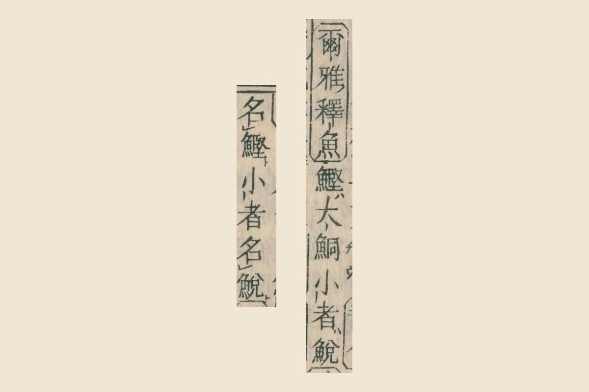 『康熙字典』の「鮦」の項、「爾雅釋魚 鰹大鮦 小者鮵」と「名鰹 小者名鮵」の大写し