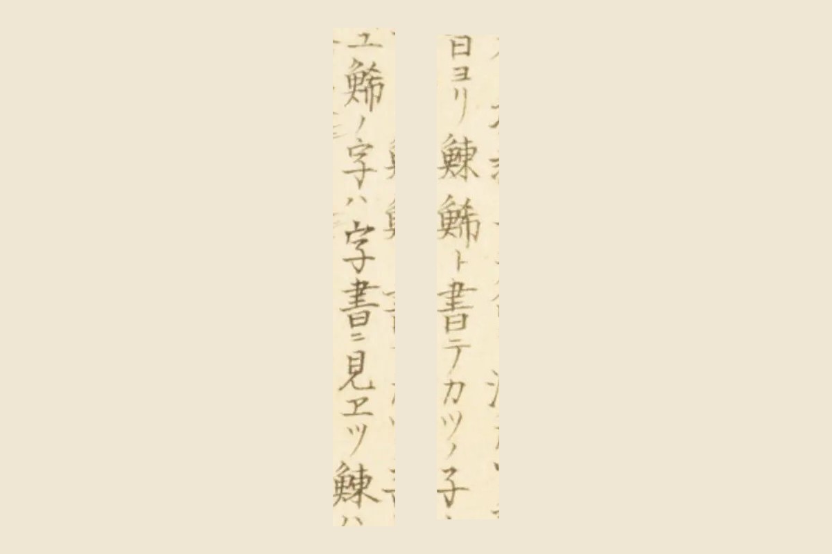 『梅園魚譜』コマ56の書き入れ「ヨリ鰊鯑ト書テカツノ子」と「ユ鯑ノ字ハ字書ニ見エツ」の大写し