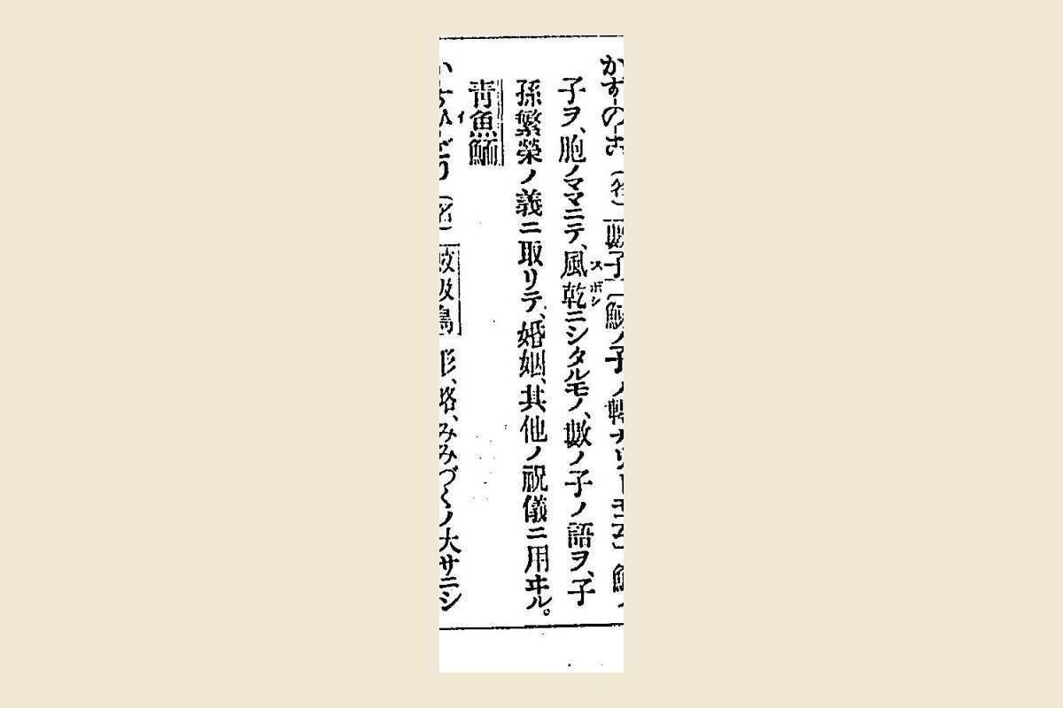 『言海』コマ166の「かずのこ（名）數子」の項の大写し