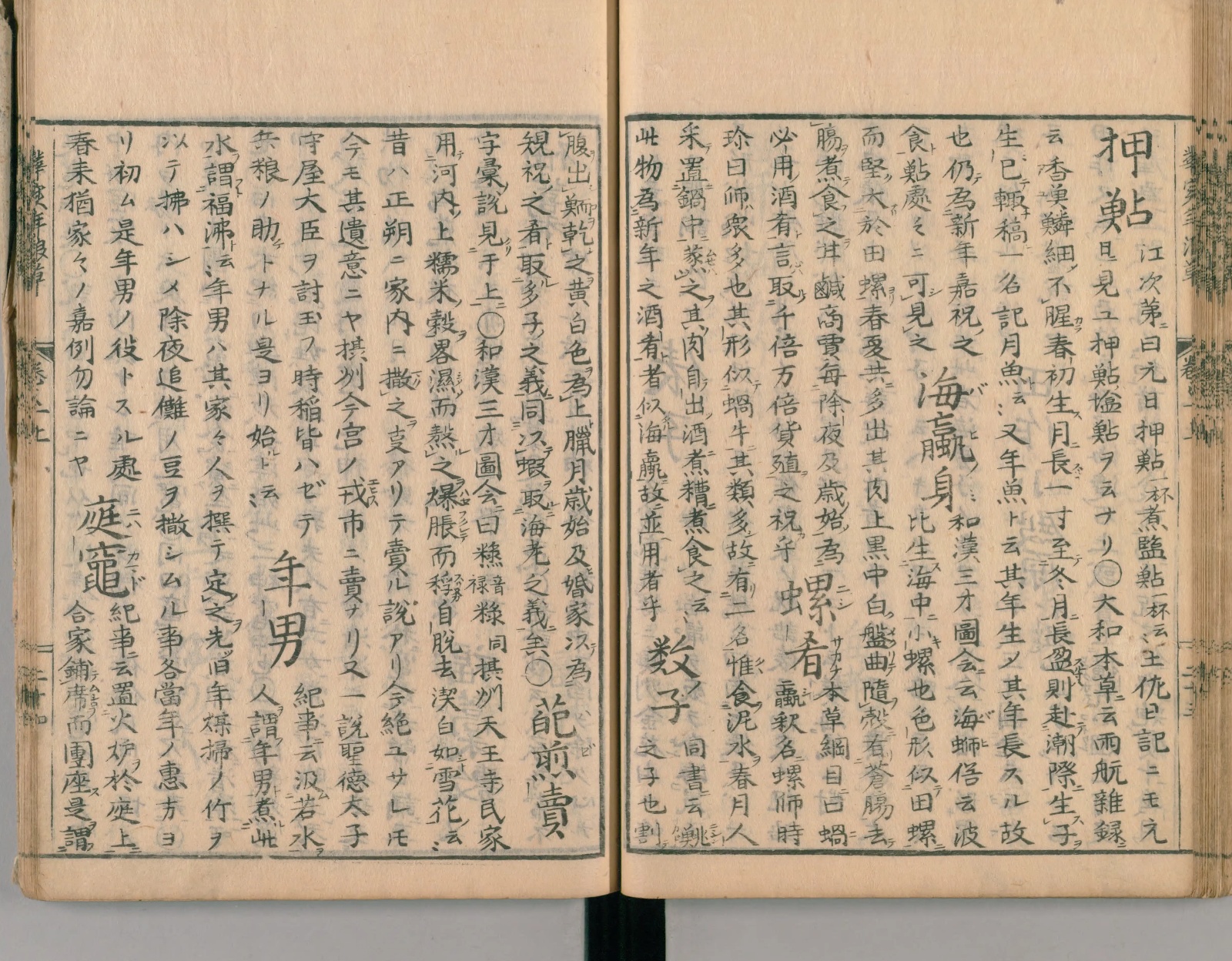 『華実年浪草』コマ43の見開き。右ページの中ほどに大きく「数子」の見出しが見える