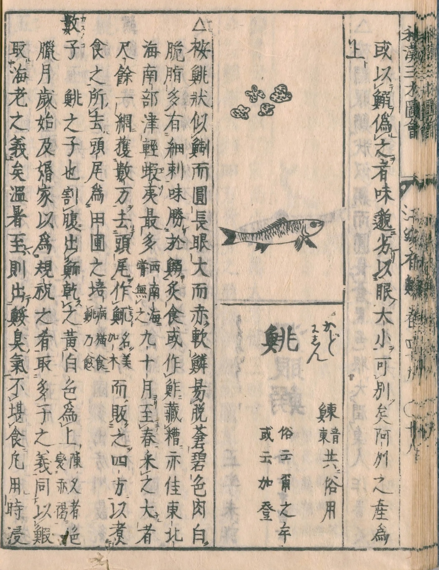 『和漢三才図会』巻四十九コマ37の右ページ。上にニシンの絵、下に見出し「鯡」、左に「數子」の項