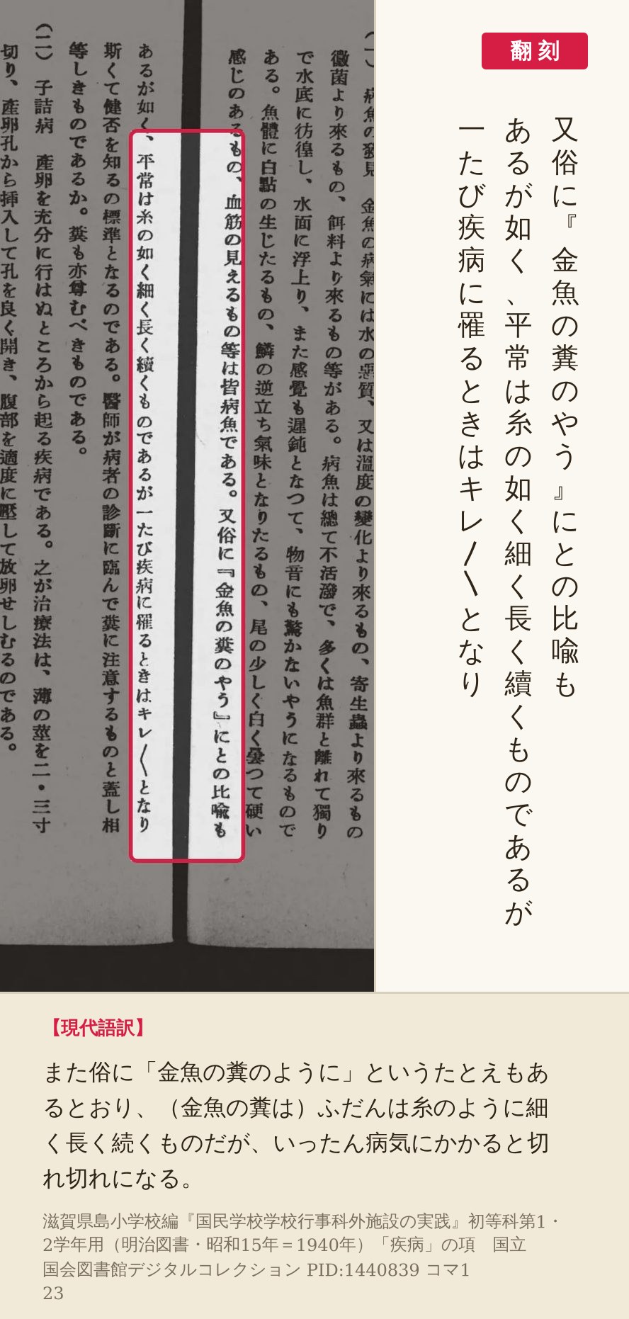 『国民学校学校行事科外施設の実践』コマ123の「又俗に『金魚の糞のやう』にとの比喩もあるが如く、平常は糸の如く細く長く續くもの」の列と翻刻