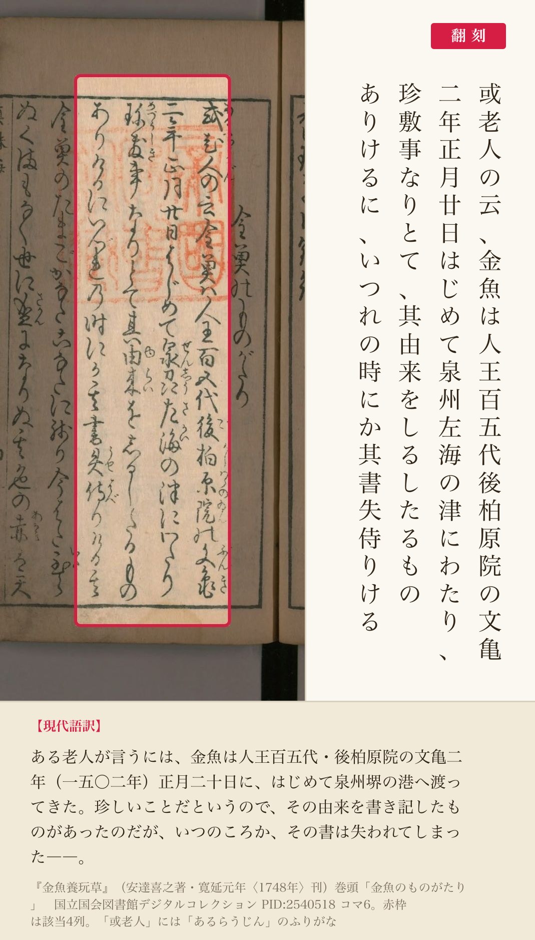 『金魚養玩草』冒頭の4列と翻刻。「或老人の云、金魚は……文亀二年正月廿日、はじめて泉州左海の津にわたり」