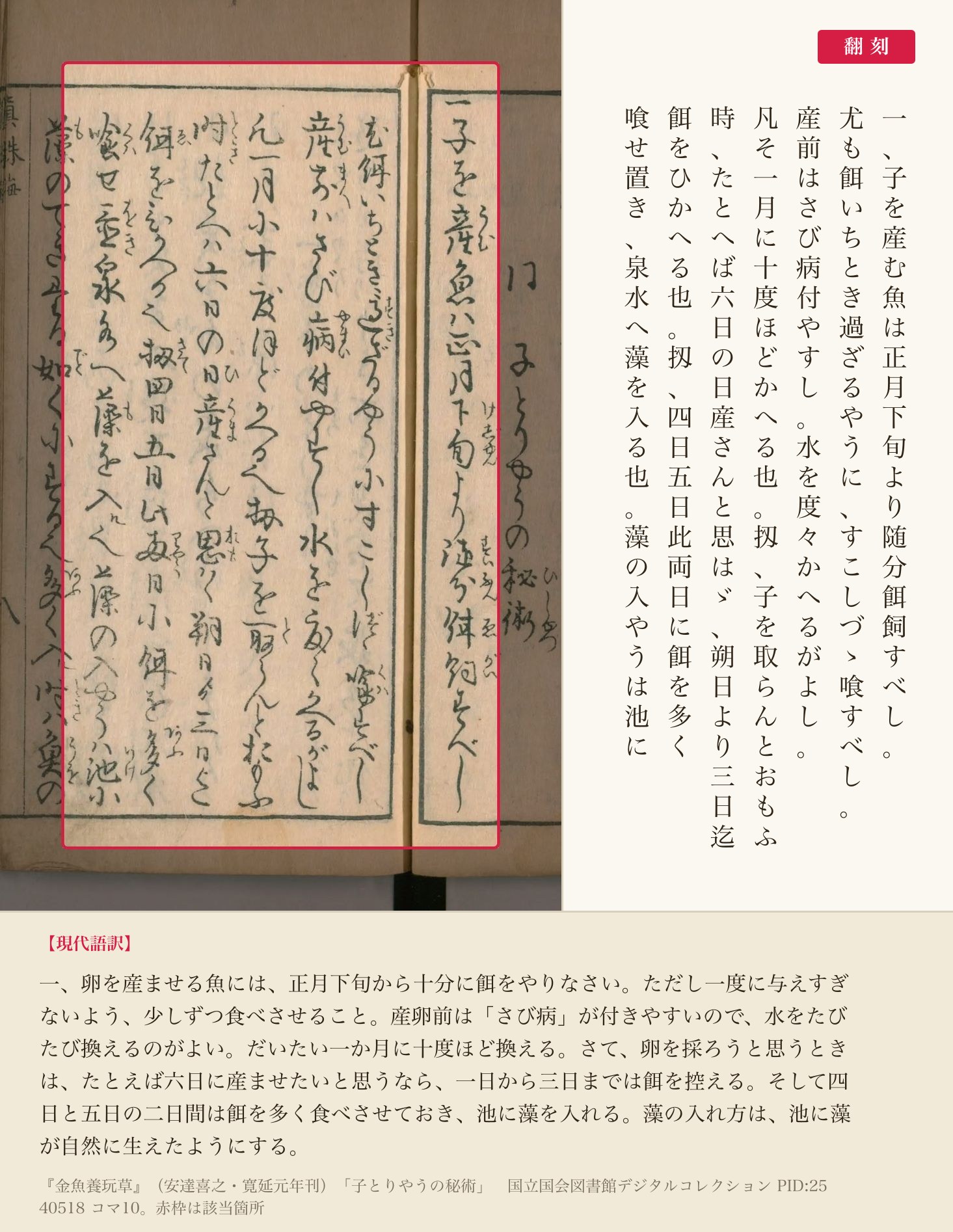 産卵日を狙って餌を加減する手順を記した箇所、赤枠と翻刻