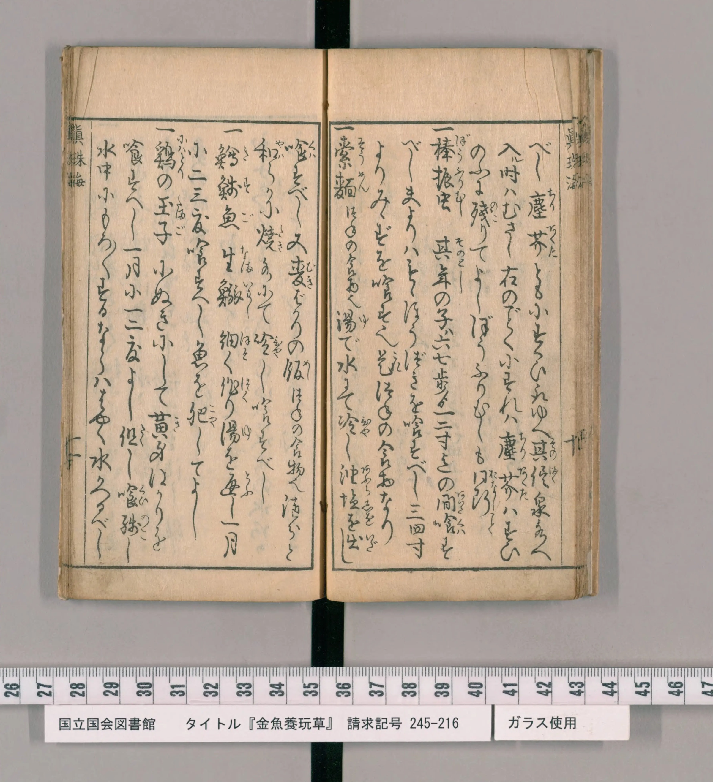 『金魚養玩草』の一丁。餌の種類と与え方が箇条書きで並ぶ