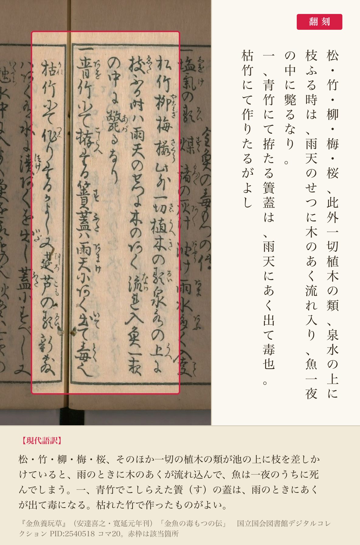 池の上の木の枝と、青竹の蓋の害を記した箇所、赤枠と翻刻