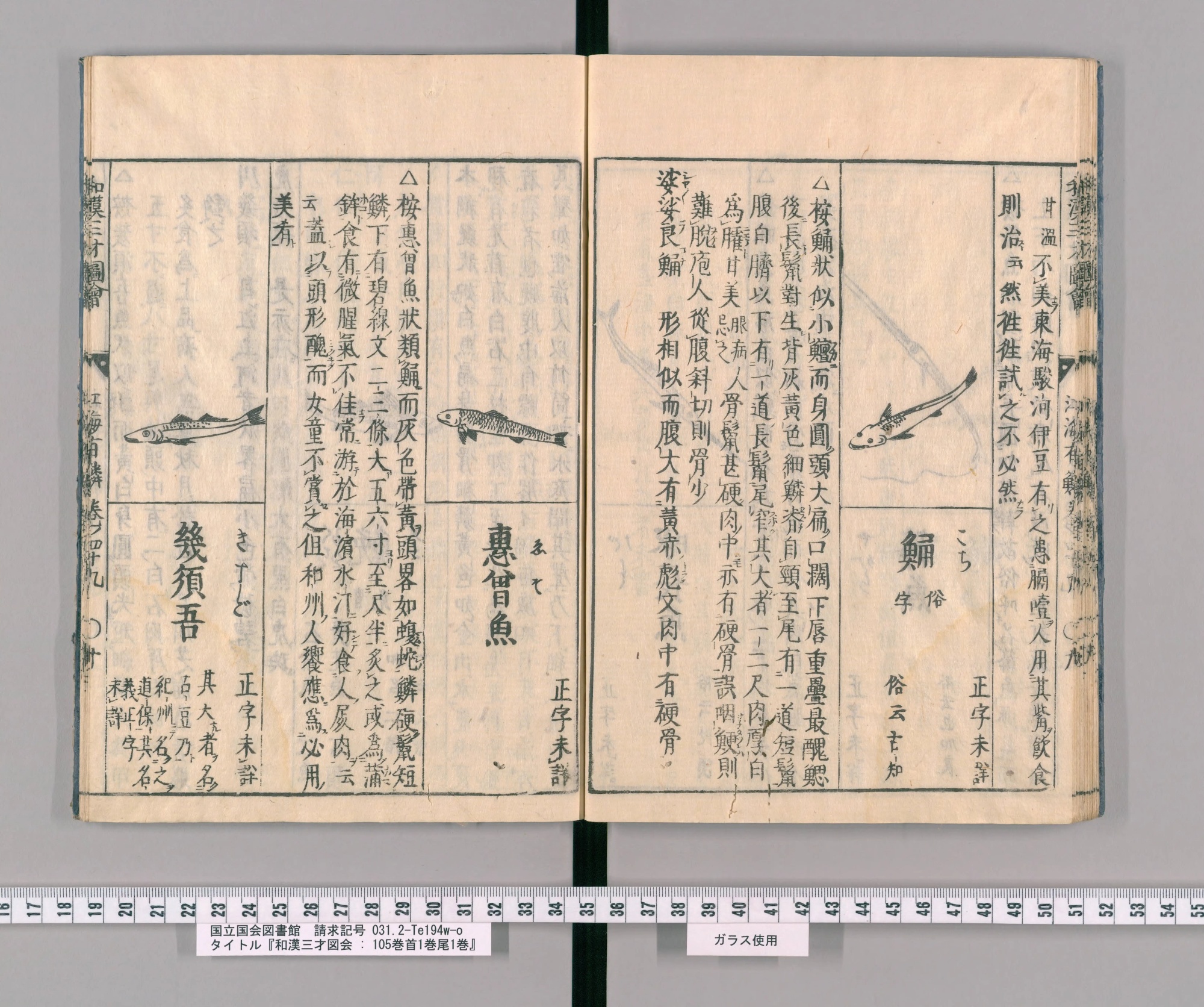 『和漢三才図会』巻四十九コマ27の見開き。区画ごとに魚の絵、左端の区画の見出しは「幾須吾」