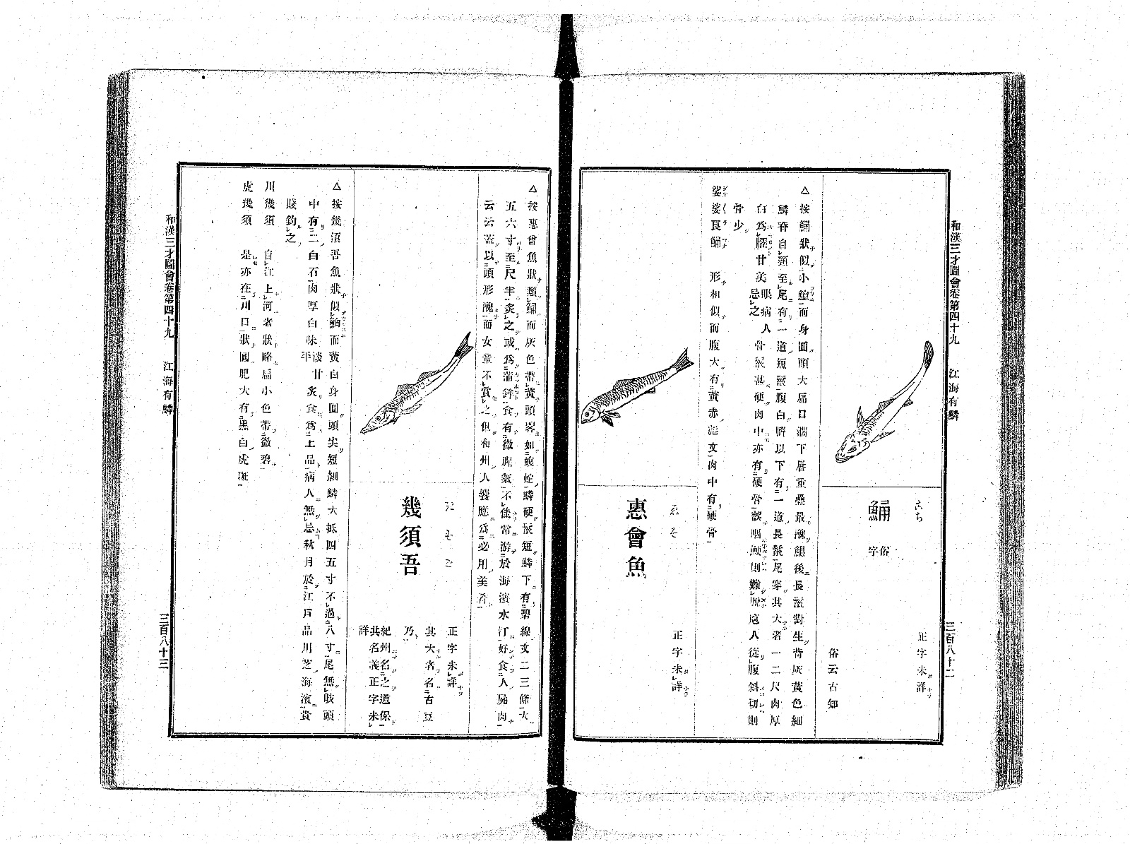 『和漢三才図会』巻四十九の見開き。右ページの右に鯒の図と見出し