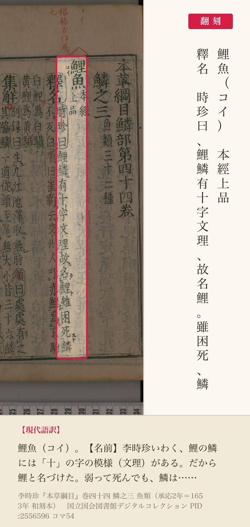 『本草綱目』巻四十四コマ54の見出し「鯉魚」と釈名の2列と翻刻