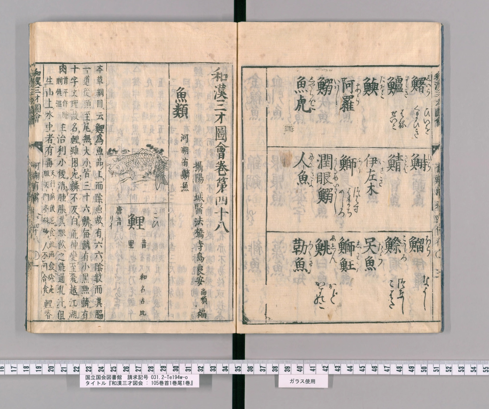 『和漢三才図会』巻四十八コマ5の見開き。左ページに巻頭と鯉の絵、見出し「鯉」