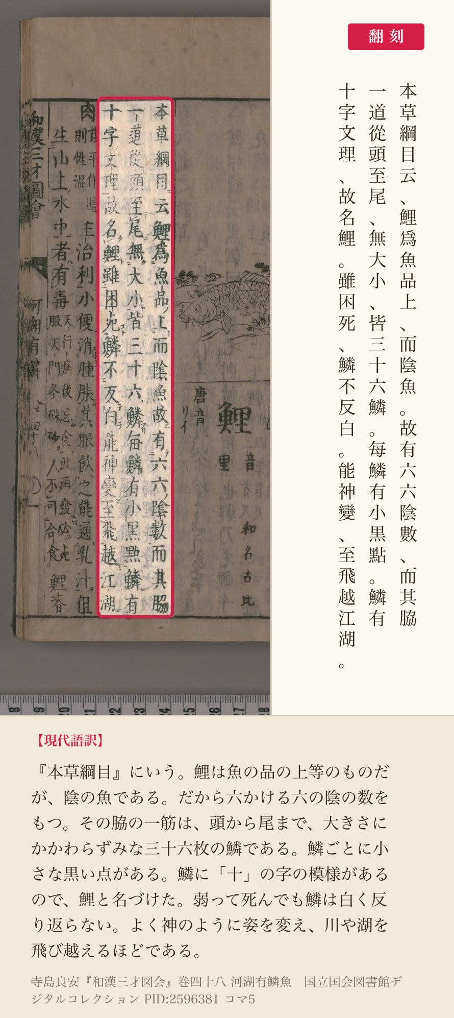『和漢三才図会』巻四十八コマ5の「本草綱目云、鯉爲魚品上、而陰魚。故有六六陰數……鱗有十字文理、故名鯉」の3列と翻刻