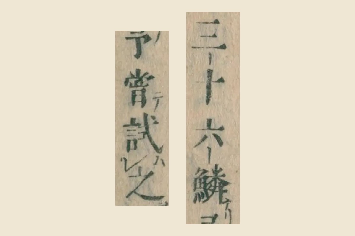 『本朝食鑑』巻七 コマ136「三十六鱗予嘗試之」の大写し