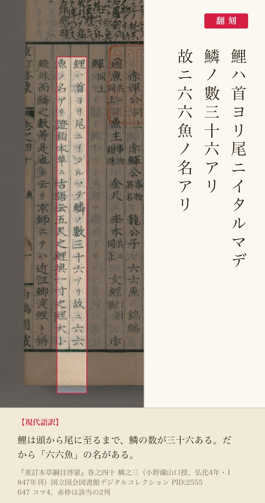『重訂本草綱目啓蒙』鯉の項「鱗ノ數三十六アリ故ニ六六魚ノ名アリ」の赤枠注釈と翻刻（PID2555647 コマ4）