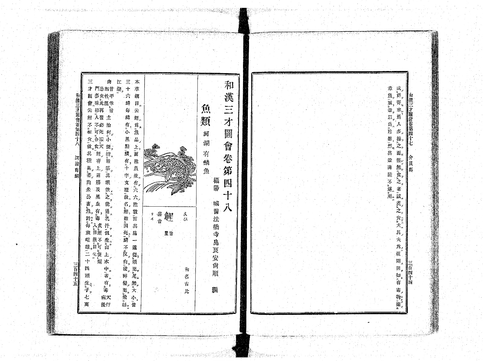 『和漢三才図会』巻48 河湖有鱗魚 コマ179（PID 898161）