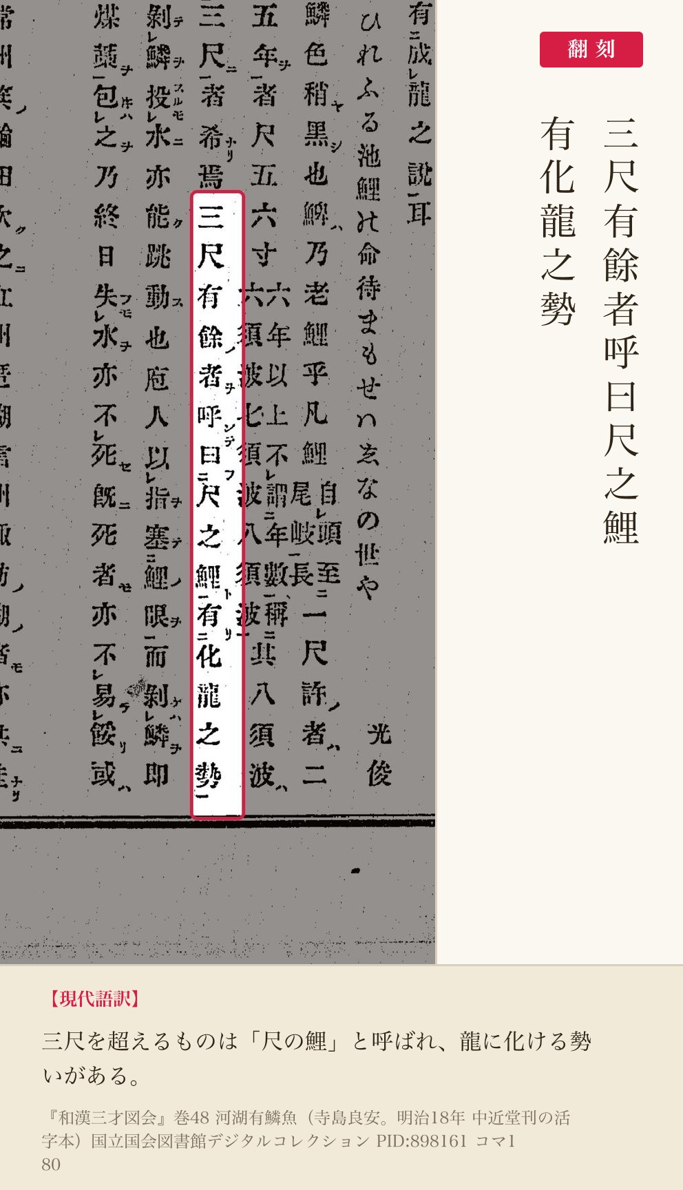 『和漢三才図会』鯉の項「三尺有餘者呼曰尺之鯉 有化龍之勢」の赤枠注釈と翻刻（PID898161 コマ180）