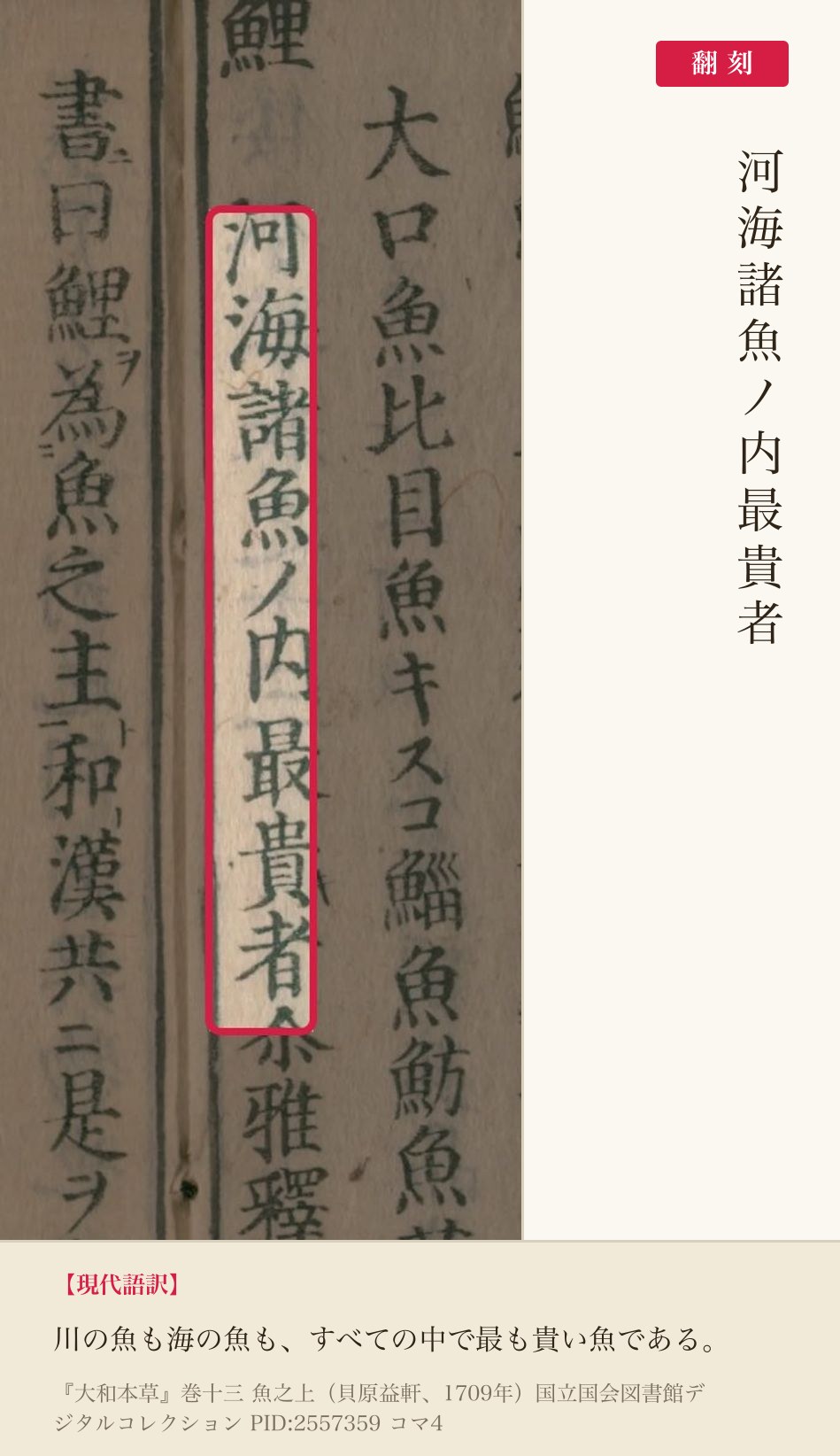 『大和本草』鯉の項「河海諸魚ノ内最貴者」の赤枠注釈と翻刻（PID2557359 コマ4）
