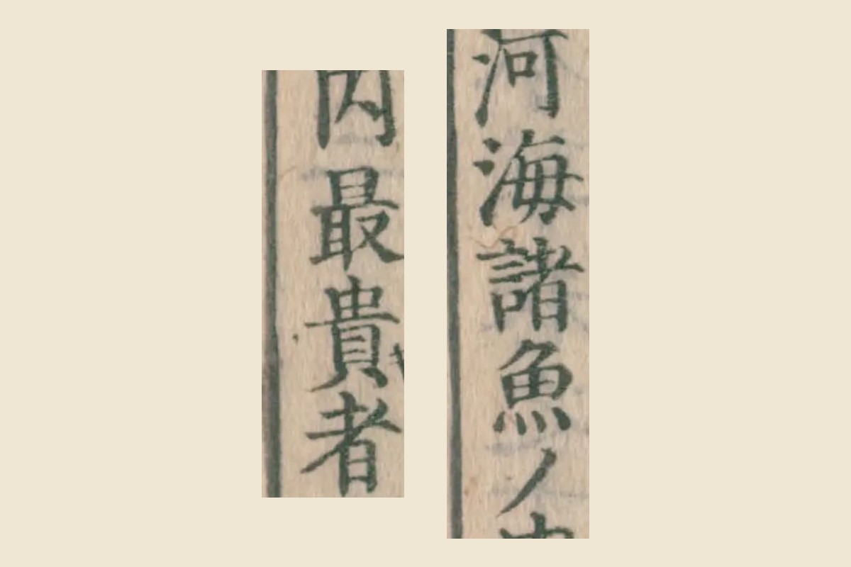 『大和本草』巻十三 コマ4「河海諸魚ノ内最貴者」の大写し