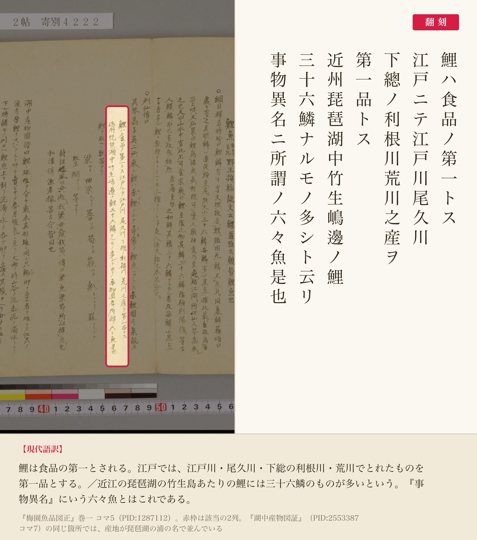 『梅園魚品図正』巻一コマ5、江戸のコイの産地と竹生島のコイの記述の赤枠注釈と翻刻