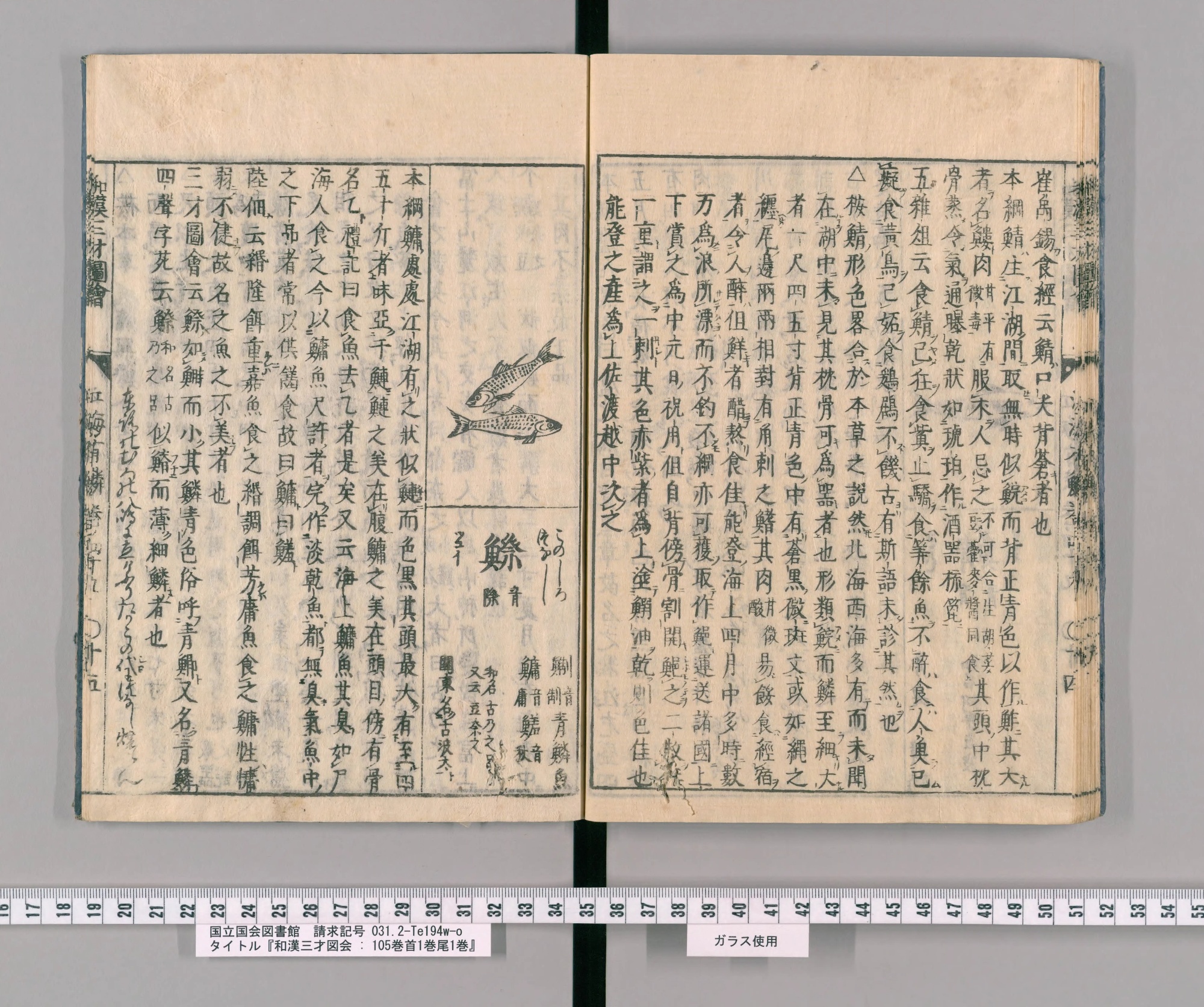 『和漢三才図会』巻四十九コマ32の見開き。左ページの区画に二尾の魚の絵と大きな見出しの字