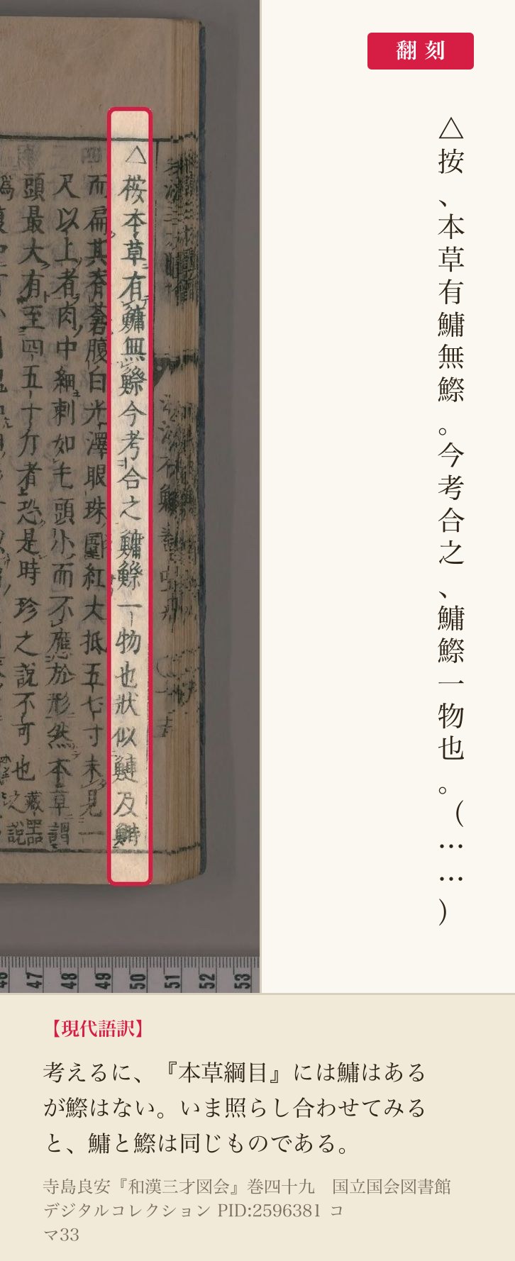 『和漢三才図会』コマ33の「按本草有鱅無鰶今考合之鱅鰶一物也」の1列と翻刻
