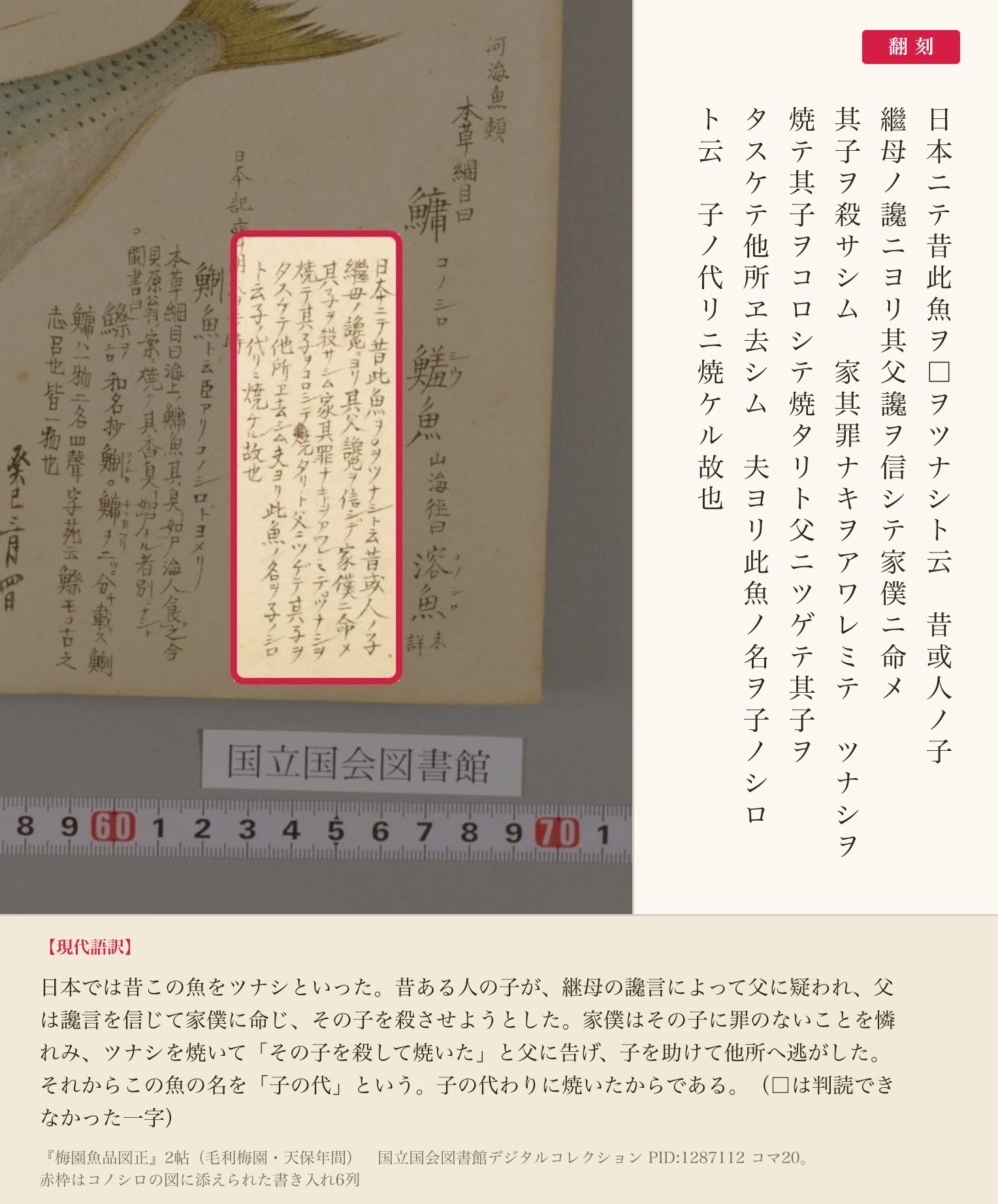 『梅園魚品図正』のコノシロの図に添えられた書き入れ6列と翻刻