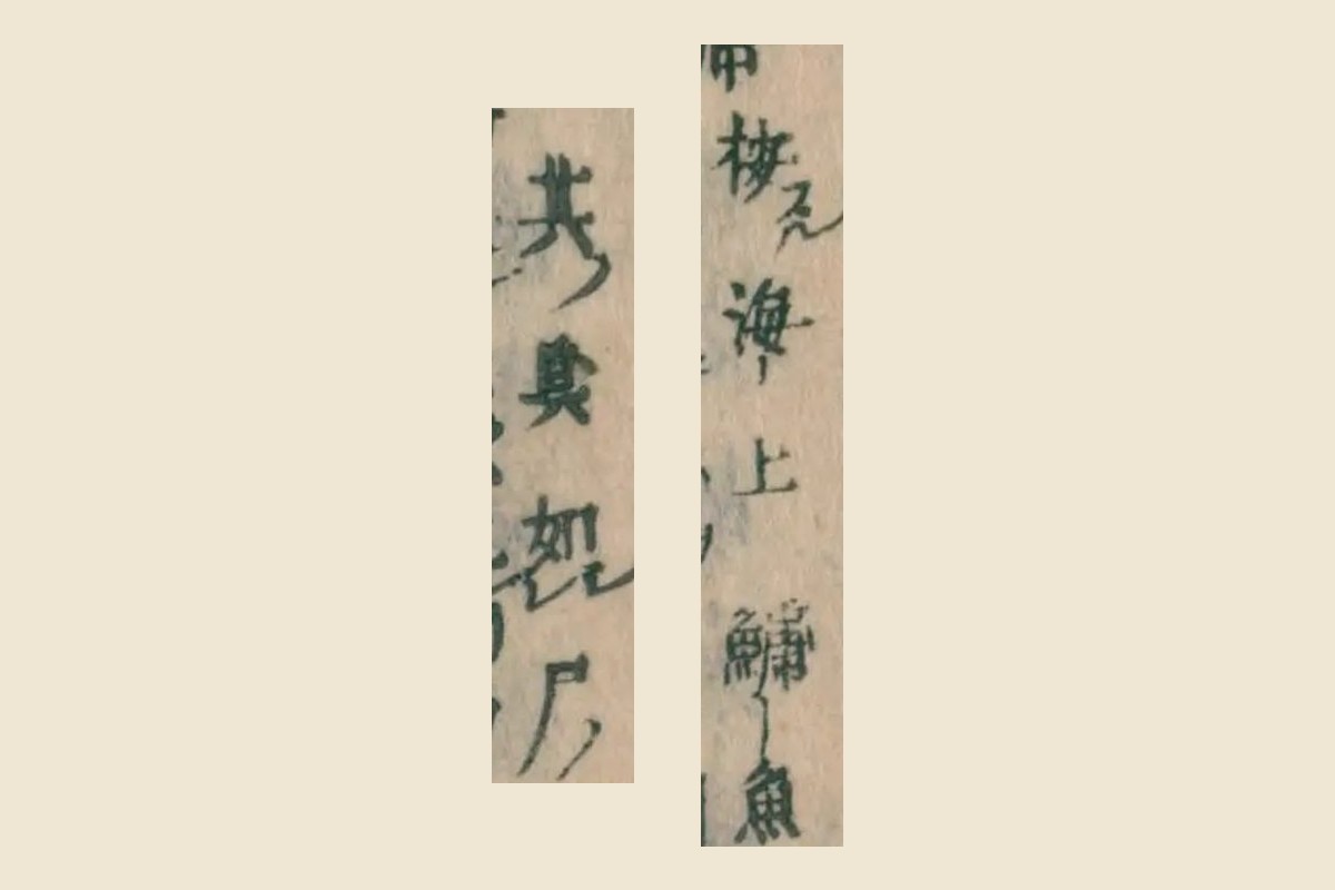 『本朝食鑑』巻八 釈名の割注「按海上鱅魚」「其臭如尸」の大写し