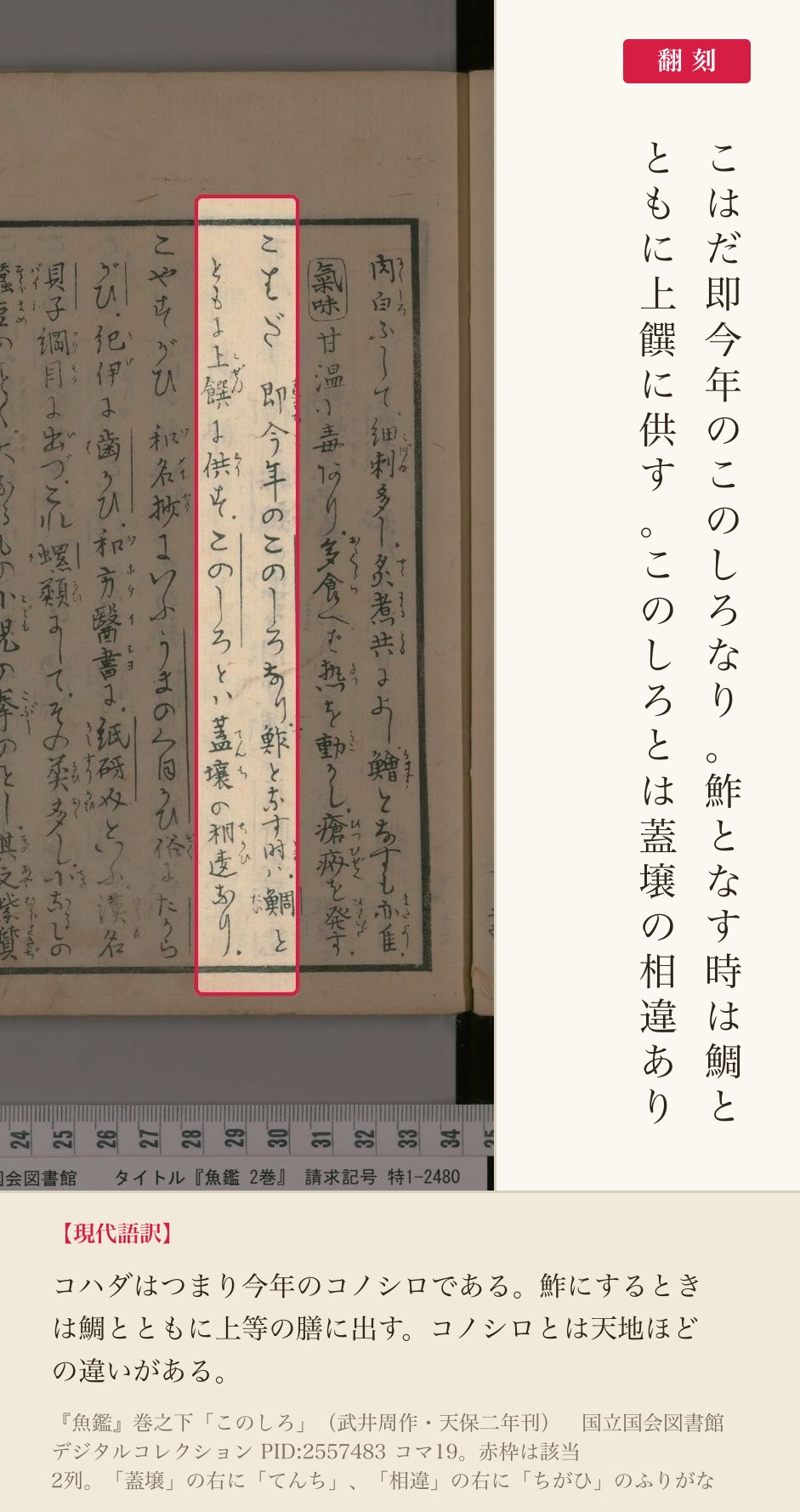 『魚鑑』巻之下「このしろ」の、コハダについて記した2列と翻刻