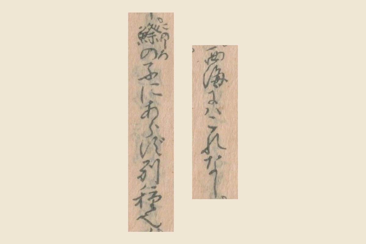 『物類称呼』コマ35の「西海にハこれなし」と「鰶の子にあらず別種也」の大写し