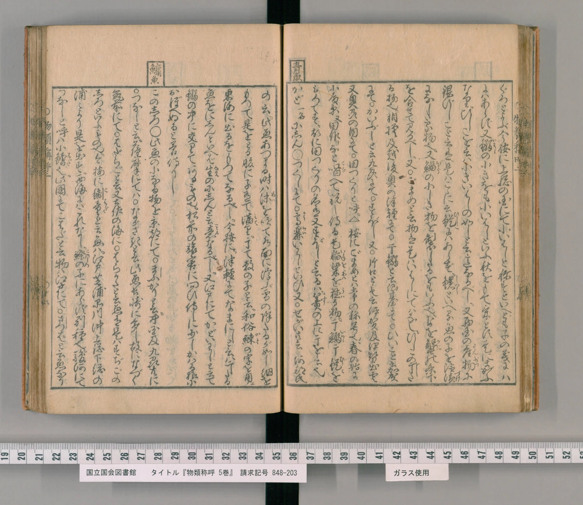 『物類称呼』巻之二の見開き。右ページの柱に「青魚」、左ページの柱に「鱅魚」の見出しがあり、左ページの終わりの6列がコノシロの項