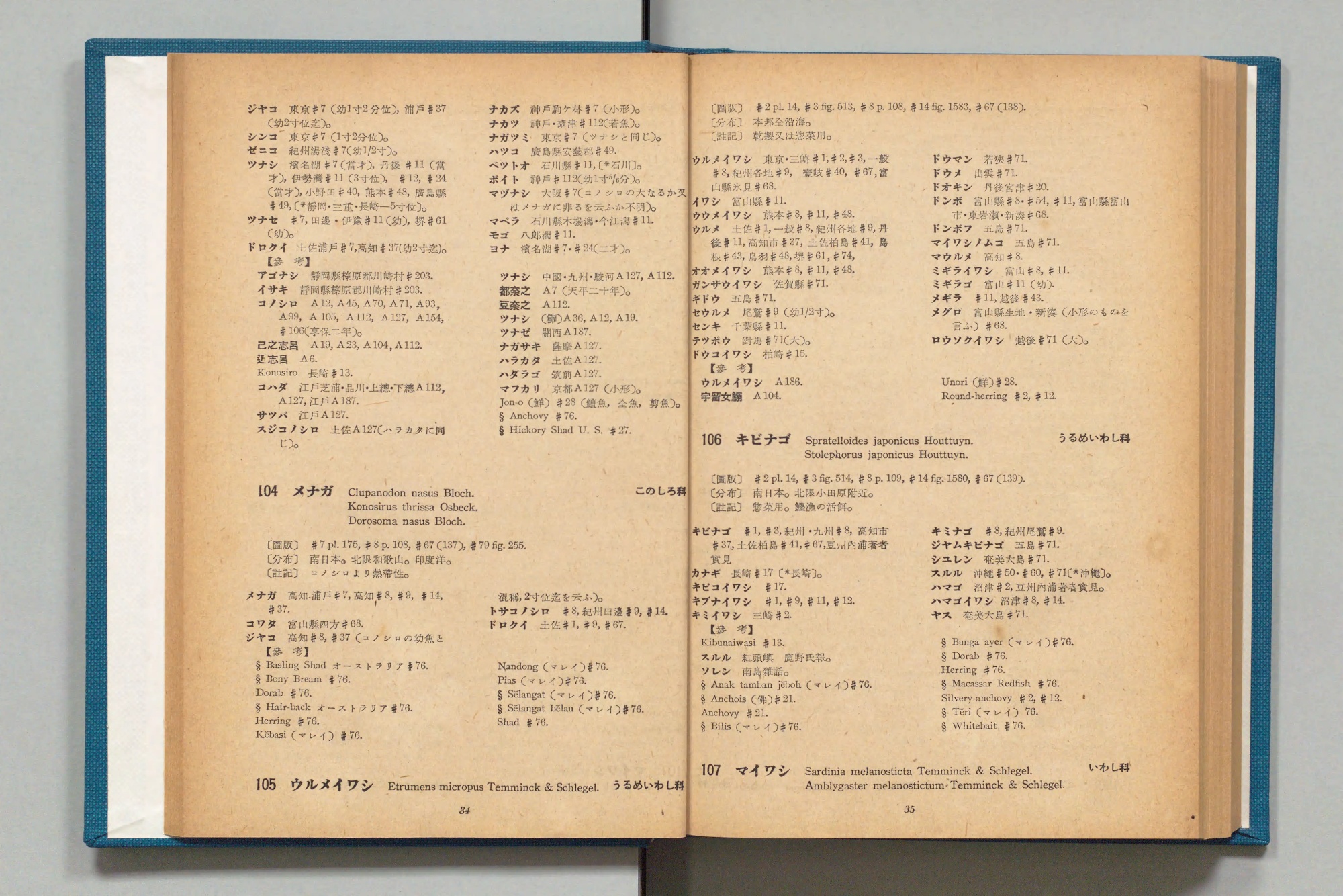 『日本魚名集覧』第1部の見開き。左ページの上半分にコノシロの呼び名のつづきと【參考】が二段で並び、その下に「104 メナガ」の項