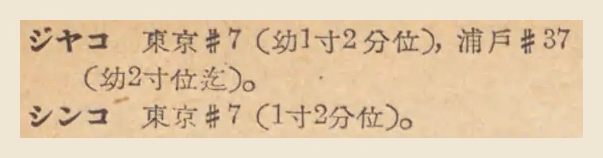 『日本魚名集覧』34頁の「ジヤコ　東京＃7（幼1寸2分位），浦戸＃37（幼2寸位迄）。」「シンコ　東京＃7（1寸2分位）。」の大写し