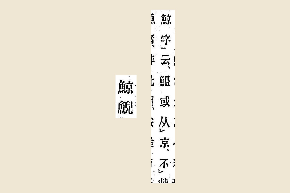 『箋注倭名類聚抄』コマ4の見出し「鯨鯢」と、棭斎の注「鯨字云、䲔或从京、不」の大写し