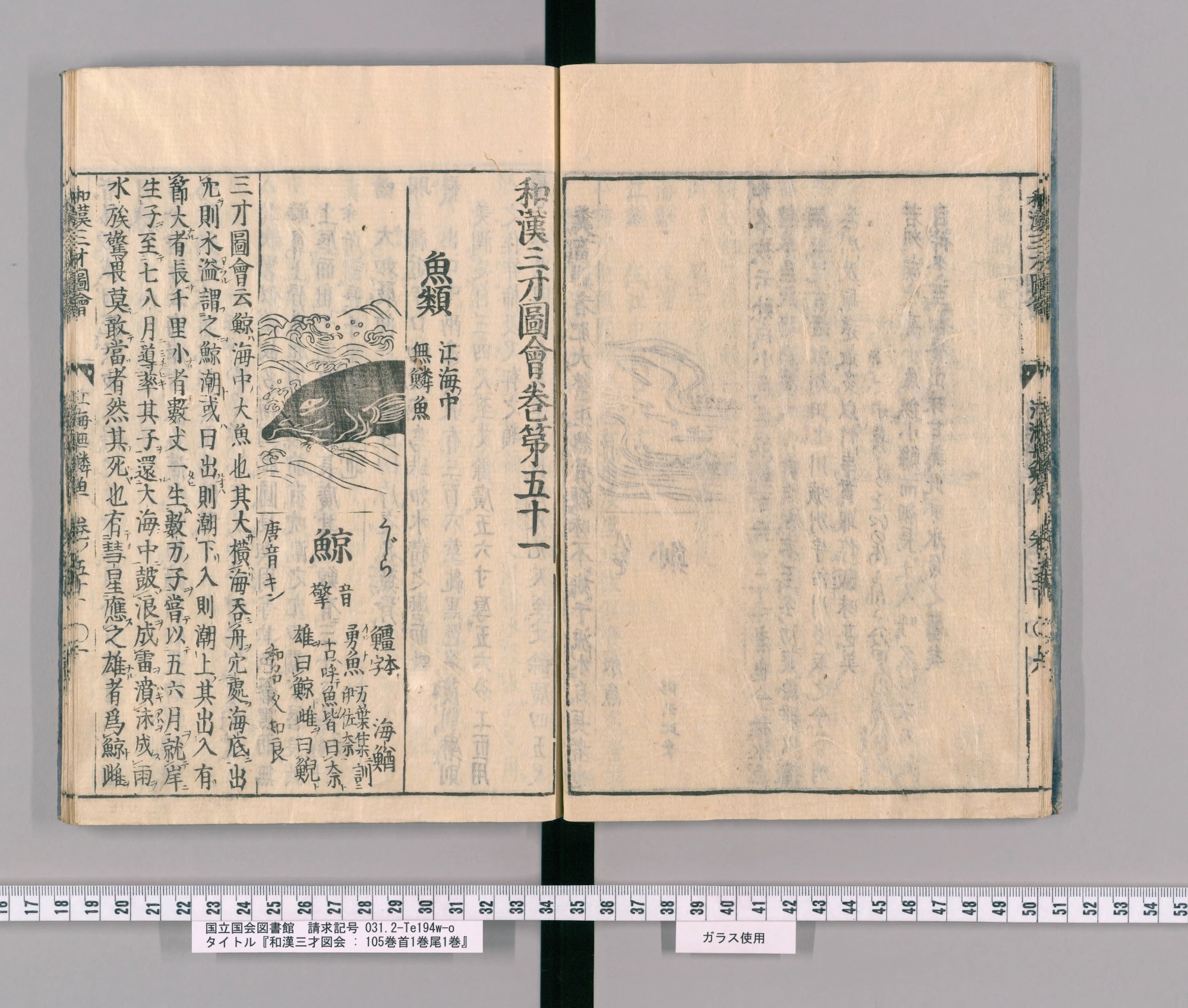 『和漢三才図会』巻五十一コマ10の見開き。左ページ上に波間の鯨の絵、その下に見出し「鯨」