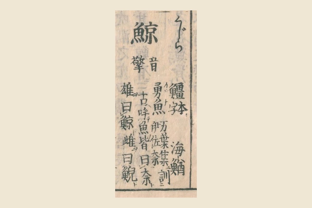 『和漢三才図会』の見出し「鯨（くじら）音擎」と注「䲔本字」「海鰌」「勇魚」「雄曰鯨雌曰鯢」の大写し