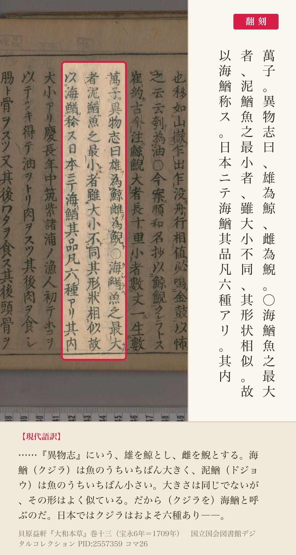 『大和本草』巻十三コマ26の「海鰌魚之最大者、泥鰌魚之最小者……故以海鰌称ス」の3列と翻刻