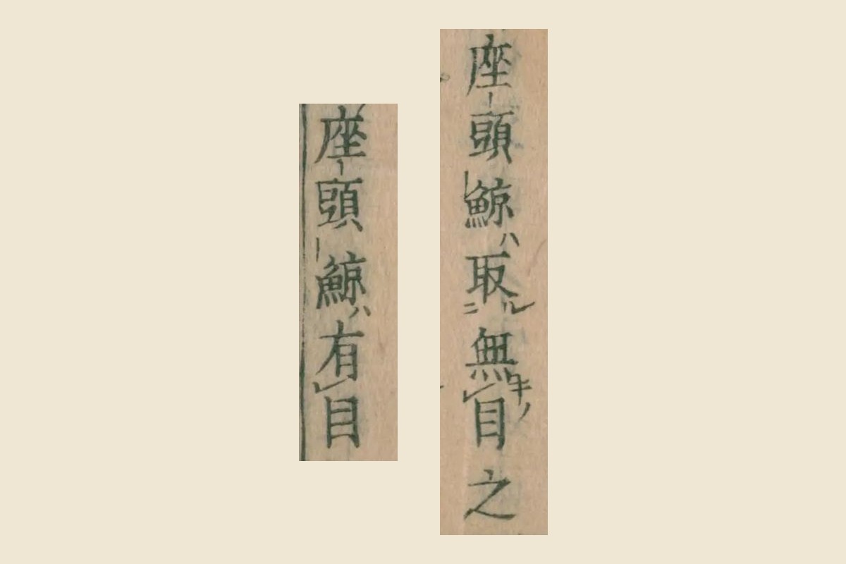 『本朝食鑑』巻九「座頭鯨取無目之」と「座頭鯨有目」の大写し