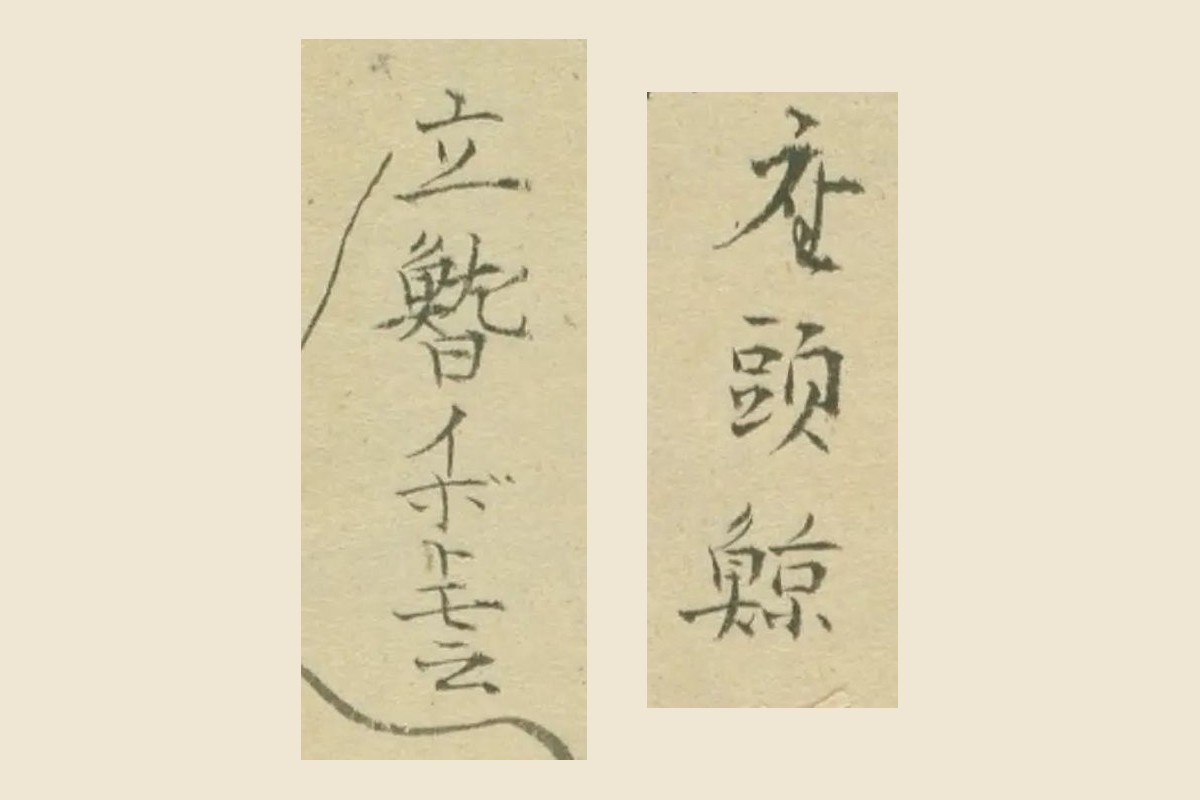 『六鯨之図』の書き入れ「立鰭イボトモ云」と「座頭鯨」の大写し