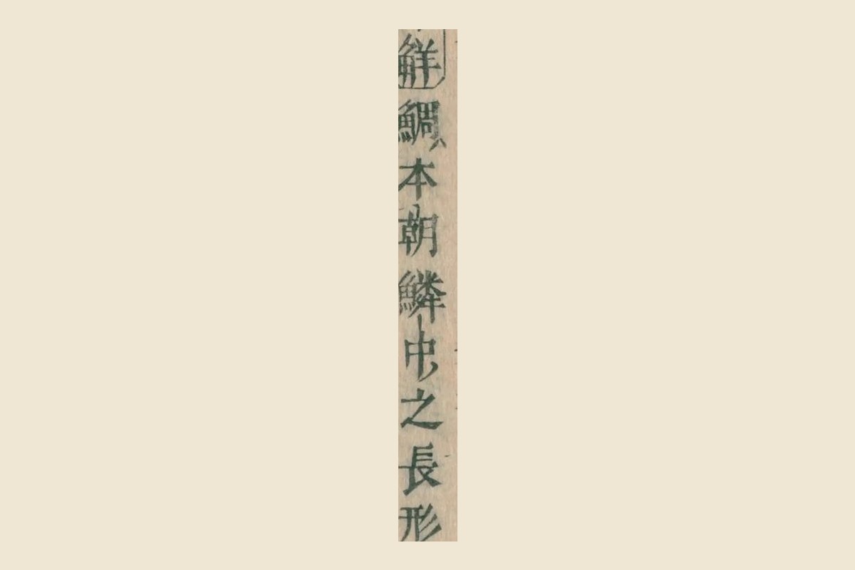 『本朝食鑑』の「集解 鯛ハ本朝鱗中之長形」の大写し