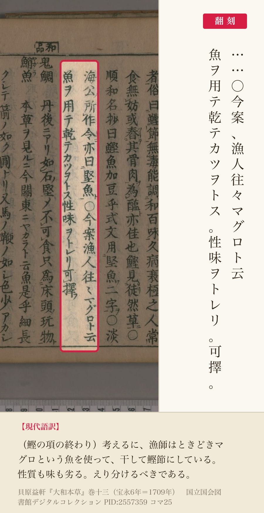 『大和本草』巻十三コマ25の鰹の項の終わり「今案漁人往々マグロト云魚ヲ用テ乾テカツヲトス性味ヲトレリ可擇」の2列と翻刻