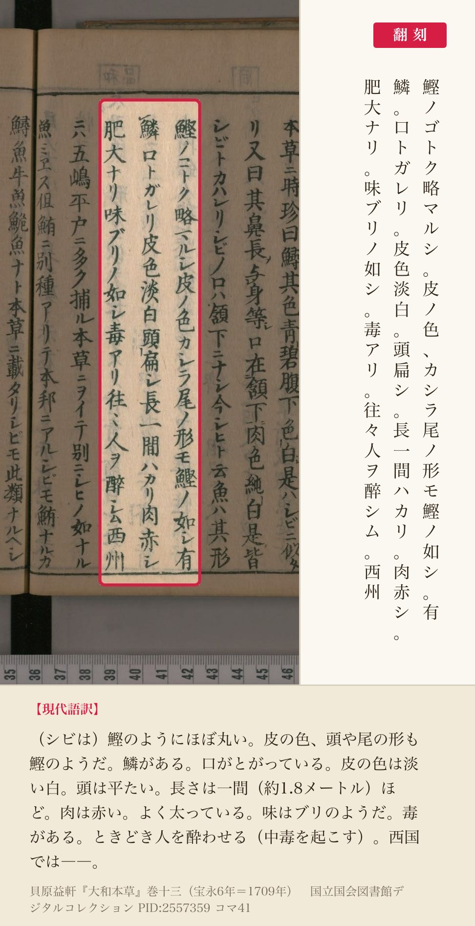 『大和本草』巻十三コマ41のシビの姿と味を書いた3列と翻刻