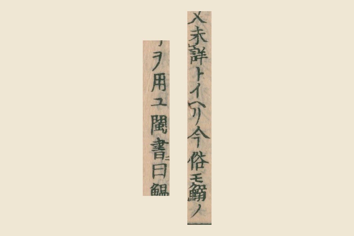 『大和本草』コマ30の「本文未詳トイヘリ今俗モ鰯ノ」と次の列の「字ヲ用ユ閩書曰鰮」の大写し