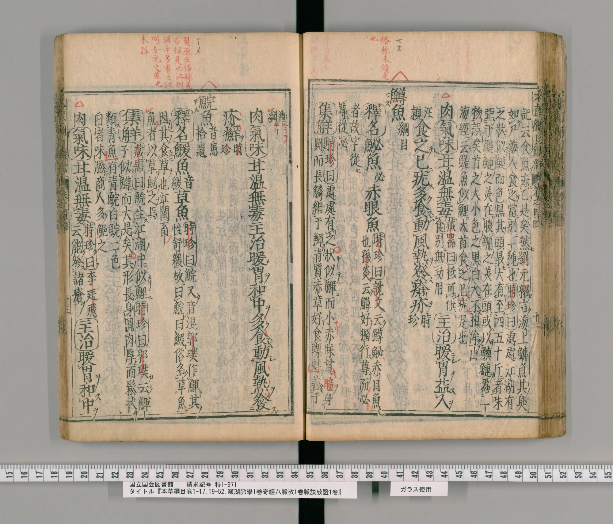 『本草綱目』承応2年刊本 巻四十四コマ60の見開き。右ページのなかほどに見出し「鱒魚」、上の余白に朱の書き入れ