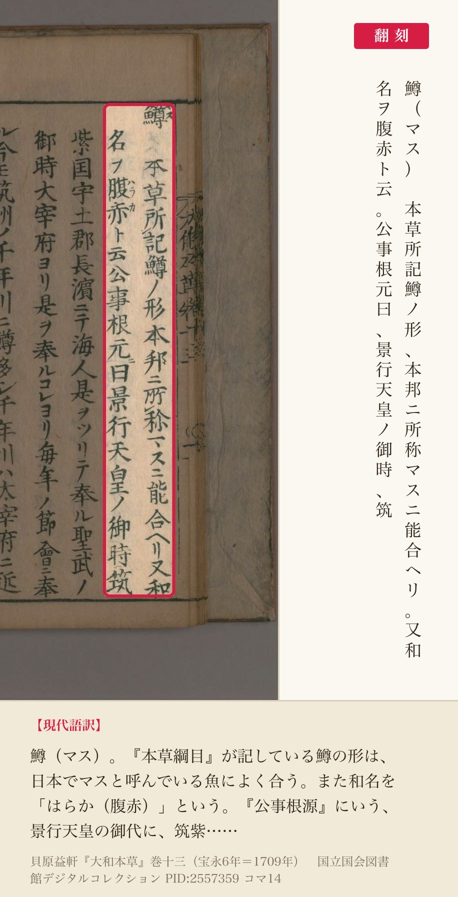 『大和本草』巻十三コマ14の見出し「鱒」と「本草所記鱒ノ形本邦ニ所称マスニ能合ヘリ」の2列と翻刻